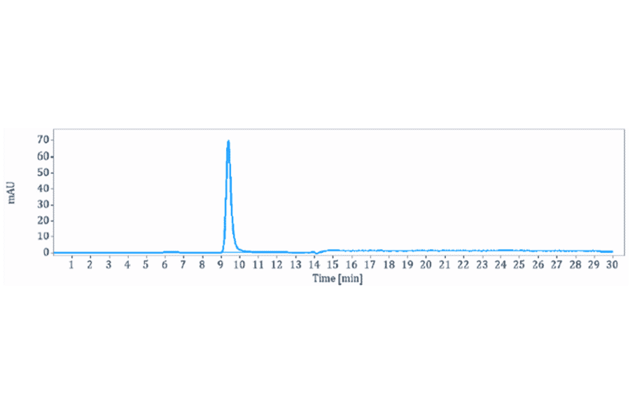 SEC-HPLC - Ozanezumab Biosimilar - Anti-Nogo Antibody - Low endotoxin, Azide free (A323644) - Antibodies.com