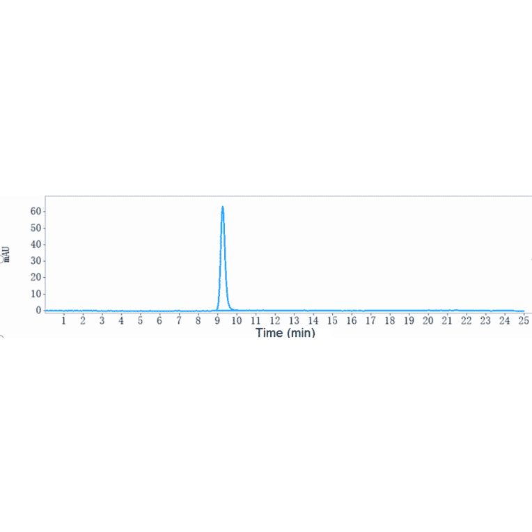 SEC-HPLC - Ozuriftamab Biosimilar - Anti-ROR2 Antibody - Low endotoxin, Azide free (A323646) - Antibodies.com