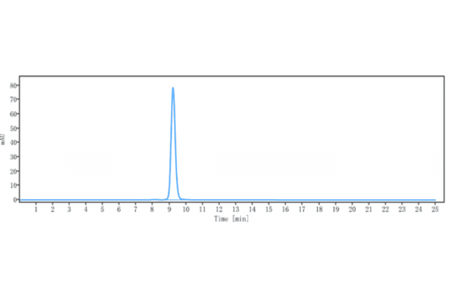 SEC-HPLC - Palivizumab Biosimilar - Anti-Respiratory Syncytial Virus Fusion (F) Glycoprotein Antibody - Low endotoxin, Azide free (A323648) - Antibodies.com