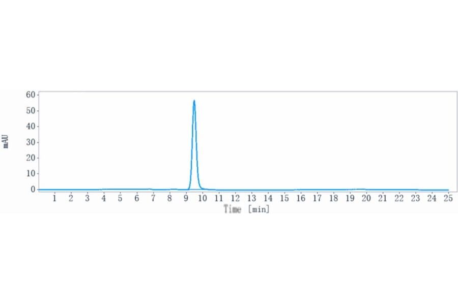 SEC-HPLC - Pamrevlumab Biosimilar - Anti-CTGF Antibody - Low endotoxin, Azide free (A323649) - Antibodies.com