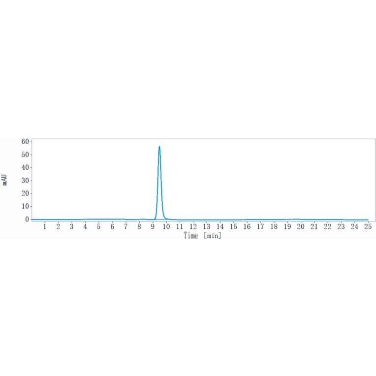 SEC-HPLC - Pamrevlumab Biosimilar - Anti-CTGF Antibody - Low endotoxin, Azide free (A323649) - Antibodies.com