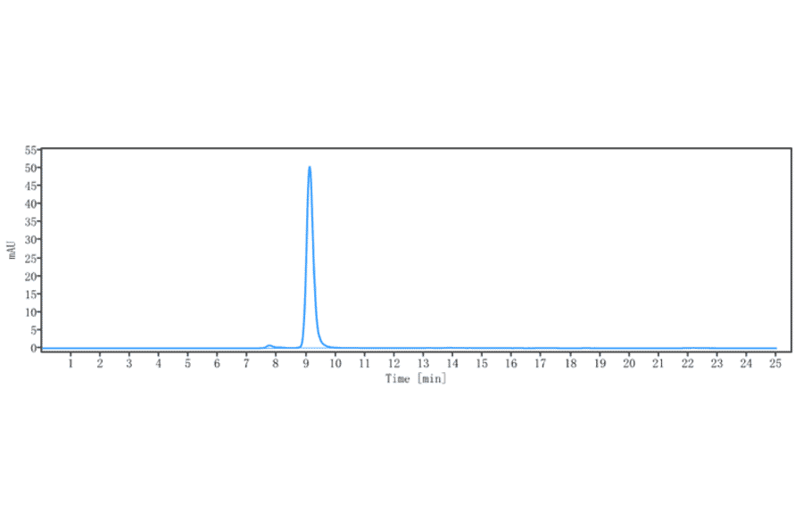 SEC-HPLC - Pateclizumab Biosimilar - Anti-TNF beta Antibody - Low endotoxin, Azide free (A323652) - Antibodies.com