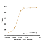 ELISA - Pembrolizumab Biosimilar - Anti-PD1 Antibody - Low endotoxin, Azide free (A323657) - Antibodies.com