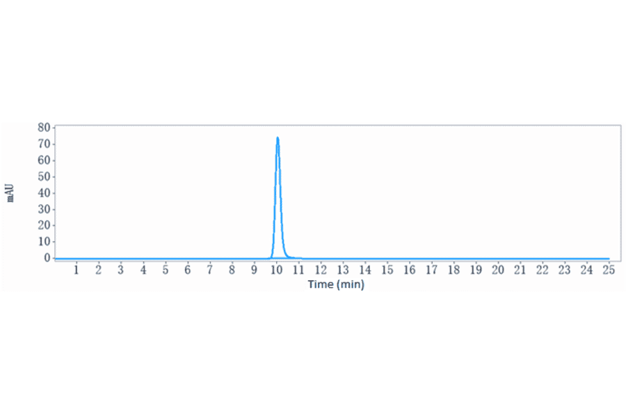 SEC-HPLC - Pepinemab Biosimilar - Anti-Semaphorin 4D/CD100 Antibody - Low endotoxin, Azide free (A323659) - Antibodies.com