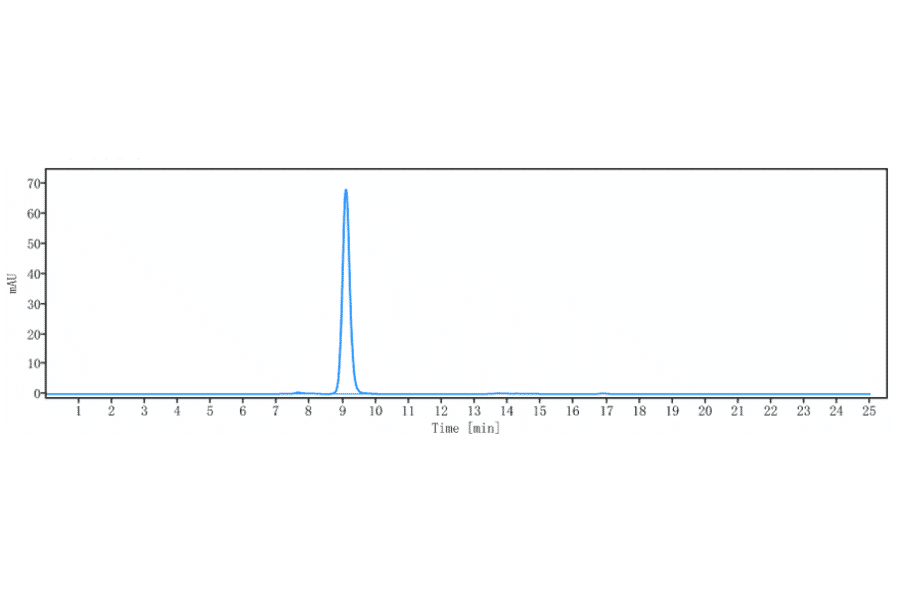 SEC-HPLC - Pertuzumab Biosimilar - Anti-ErbB2/HER2 Antibody - Low endotoxin, Azide free (A323661) - Antibodies.com