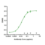 ELISA - Pertuzumab Biosimilar - Anti-ErbB2/HER2 Antibody - Low endotoxin, Azide free (A323661) - Antibodies.com