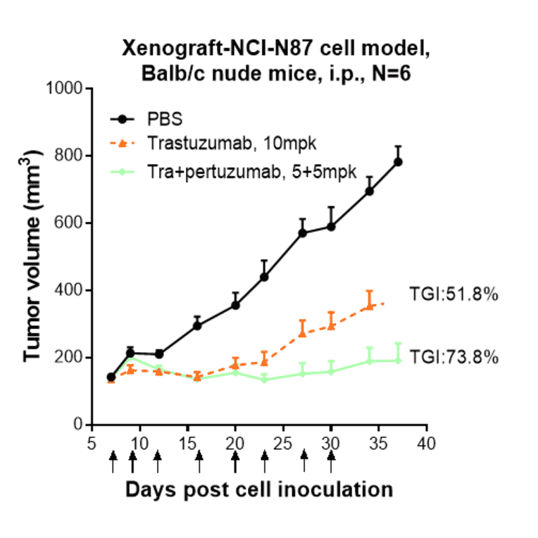 Research in vivo - Pertuzumab Biosimilar - Anti-ErbB2/HER2 Antibody - Low endotoxin, Azide free (A323661) - Antibodies.com