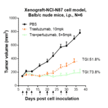 Research in vivo - Pertuzumab Biosimilar - Anti-ErbB2/HER2 Antibody - Low endotoxin, Azide free (A323661) - Antibodies.com
