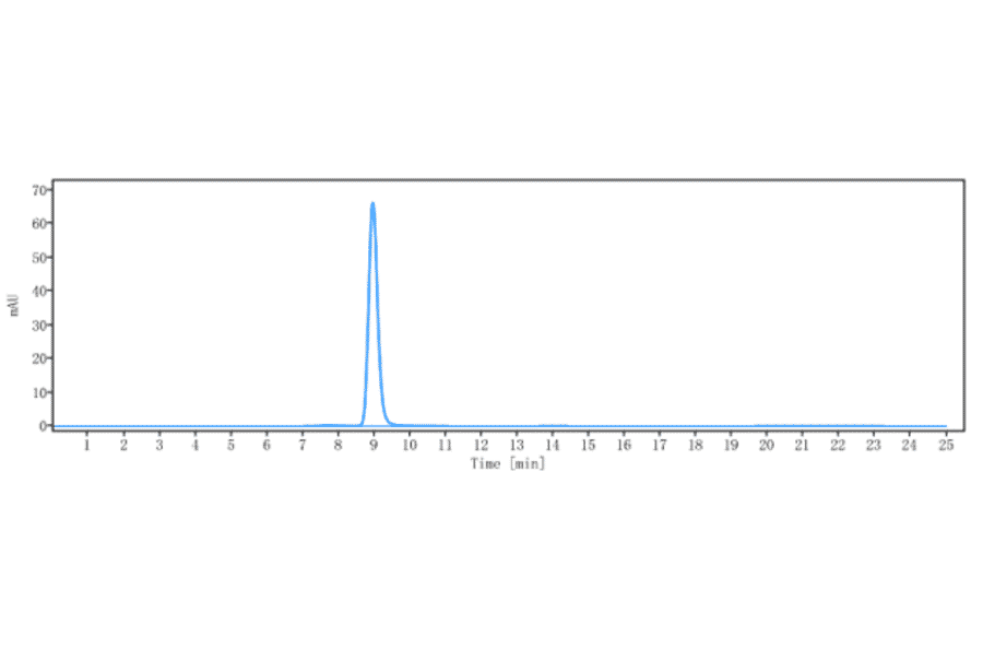 SEC-HPLC - Pimurutamab Biosimilar - Anti-EGFR Antibody - Low endotoxin, Azide free (A323666) - Antibodies.com