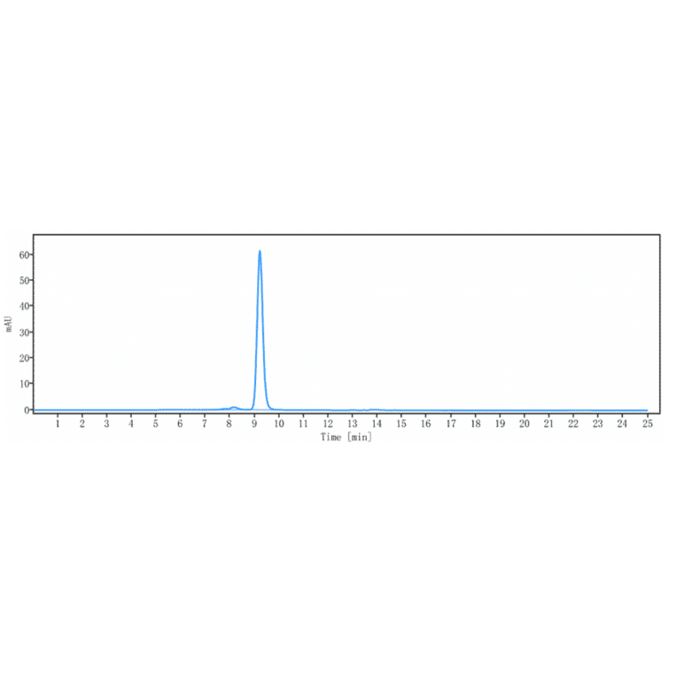 SEC-HPLC - Pinatuzumab Biosimilar - Anti-CD22 Antibody - Low endotoxin, Azide free (A323668) - Antibodies.com