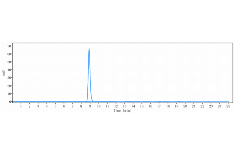 SEC-HPLC - Plozalizumab Biosimilar - Anti-CCR2 Antibody - Low endotoxin, Azide free (A323670) - Antibodies.com