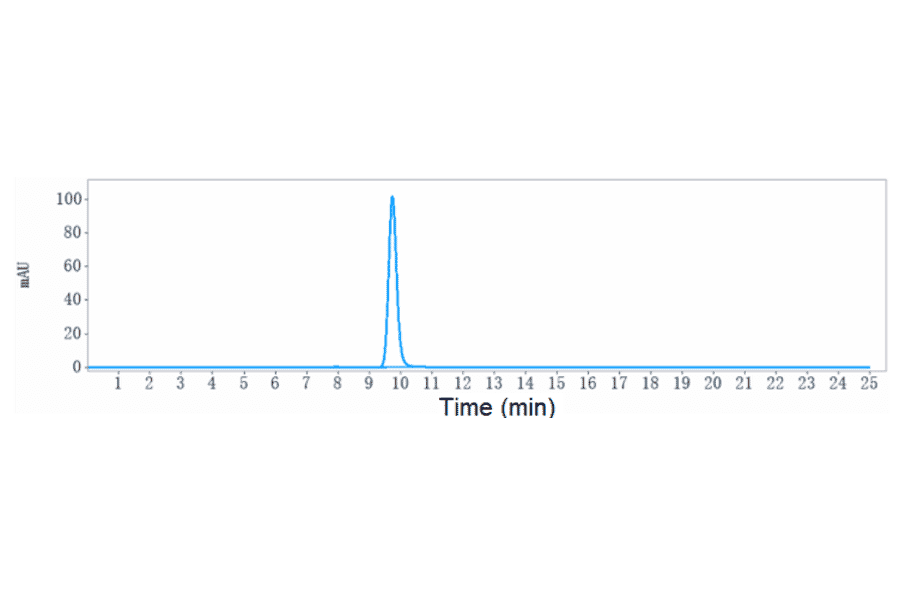 SEC-HPLC - Ponsegromab Biosimilar - Anti-GDF15 Antibody - Low endotoxin, Azide free (A323673) - Antibodies.com