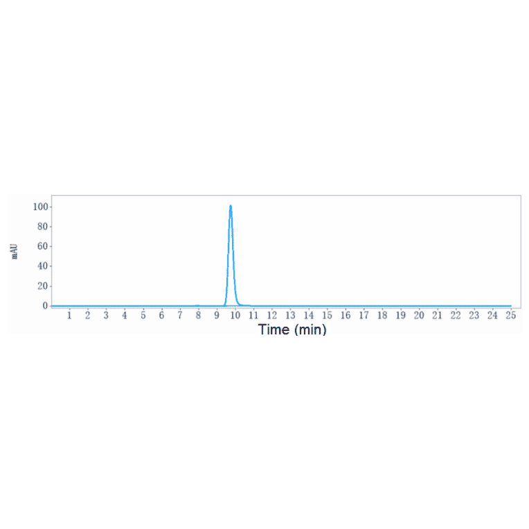 SEC-HPLC - Ponsegromab Biosimilar - Anti-GDF15 Antibody - Low endotoxin, Azide free (A323673) - Antibodies.com