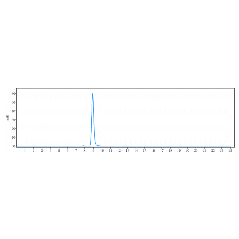 SEC-HPLC - Pozelimab Biosimilar - Anti-C5 Antibody - Low endotoxin, Azide free (A323674) - Antibodies.com