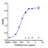 ELISA - Praluzatamab Biosimilar - Anti-CD166 Antibody - Low endotoxin, Azide free (A323677) - Antibodies.com