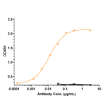 ELISA - Prasinezumab Biosimilar - Anti-alpha Synuclein Antibody - Low endotoxin, Azide free (A323678) - Antibodies.com