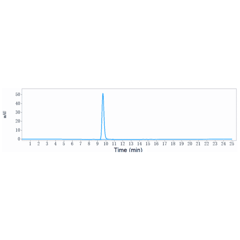 SEC-HPLC - Quavonlimab Biosimilar - Anti-CTLA4 Antibody - Low endotoxin, Azide free (A323682) - Antibodies.com