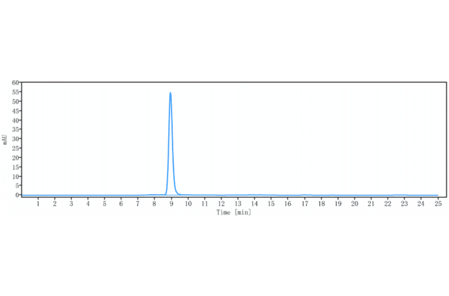 SEC-HPLC - Quetmolimab Biosimilar - Anti-CX3CL1 Antibody - Low endotoxin, Azide free (A323683) - Antibodies.com