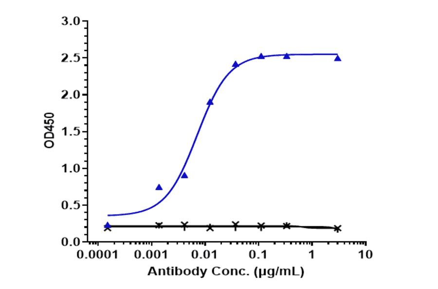 ELISA - Ramucirumab Biosimilar - Anti-VEGF Receptor 2 Antibody - Low endotoxin, Azide free (A323690) - Antibodies.com
