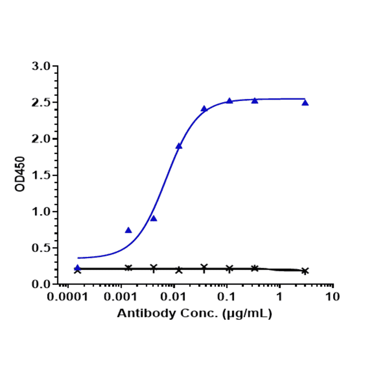 ELISA - Ramucirumab Biosimilar - Anti-VEGF Receptor 2 Antibody - Low endotoxin, Azide free (A323690) - Antibodies.com