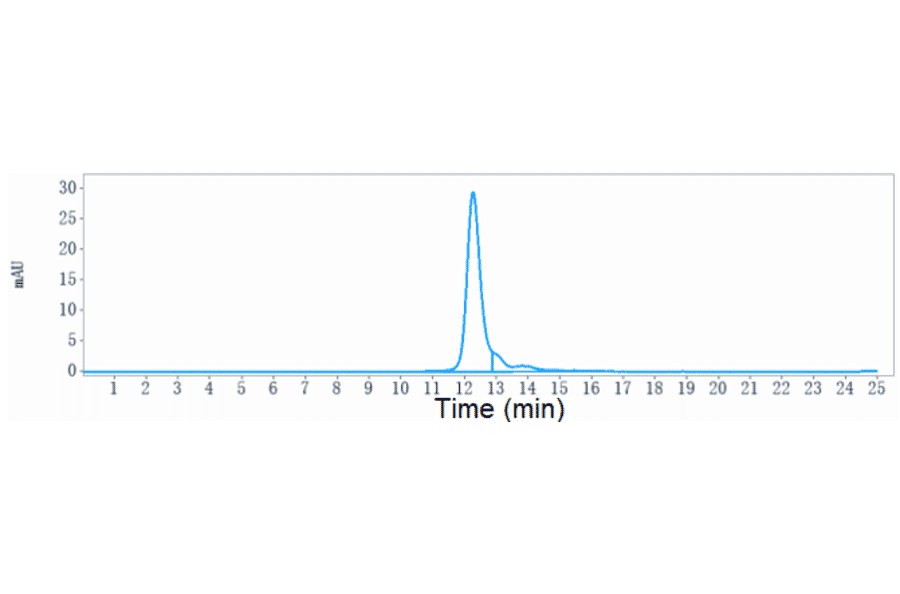 SEC-HPLC - Ravulizumab Biosimilar - Anti-C5 Antibody - Low endotoxin, Azide free (A323692) - Antibodies.com
