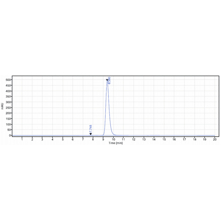 SEC-HPLC - Refanezumab Biosimilar - Anti-MAG/GMA Antibody - Low endotoxin, Azide free (A323694) - Antibodies.com