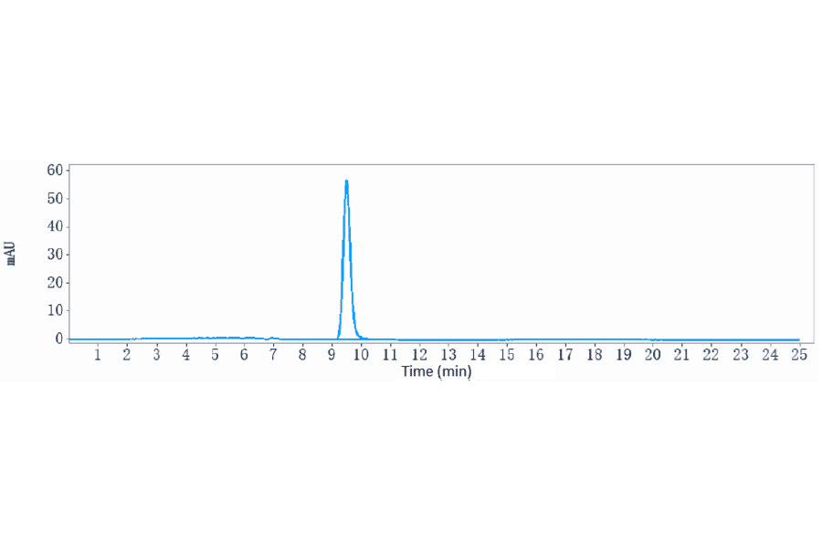 SEC-HPLC - Relatlimab Biosimilar - Anti-LAG-3 Antibody - Low endotoxin, Azide free (A323695) - Antibodies.com