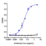 ELISA - Relatlimab Biosimilar - Anti-LAG-3 Antibody - Low endotoxin, Azide free (A323695) - Antibodies.com