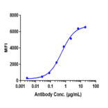 FACS - Relatlimab Biosimilar - Anti-LAG-3 Antibody - Low endotoxin, Azide free (A323695) - Antibodies.com