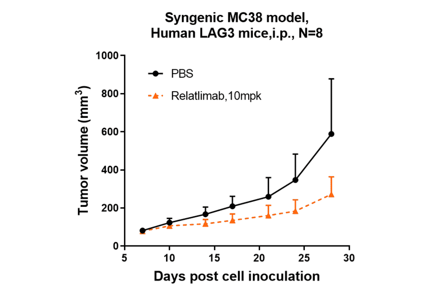 Research in vivo - Relatlimab Biosimilar - Anti-LAG-3 Antibody - Low endotoxin, Azide free (A323695) - Antibodies.com