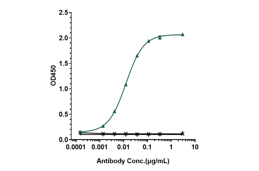 ELISA - Rituximab Biosimilar - Anti-CD20 Antibody - Low endotoxin, Azide free (A323702) - Antibodies.com