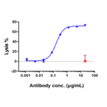 Function:CDC - Rituximab Biosimilar - Anti-CD20 Antibody - Low endotoxin, Azide free (A323702) - Antibodies.com