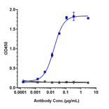 ELISA - Rosopatamab Biosimilar - Anti-PSMA Antibody - Low endotoxin, Azide free (A323710) - Antibodies.com