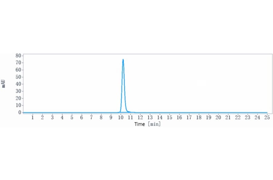 SEC-HPLC - Rovalpituzumab Biosimilar - Anti-DLL3 Antibody - Low endotoxin, Azide free (A323712) - Antibodies.com