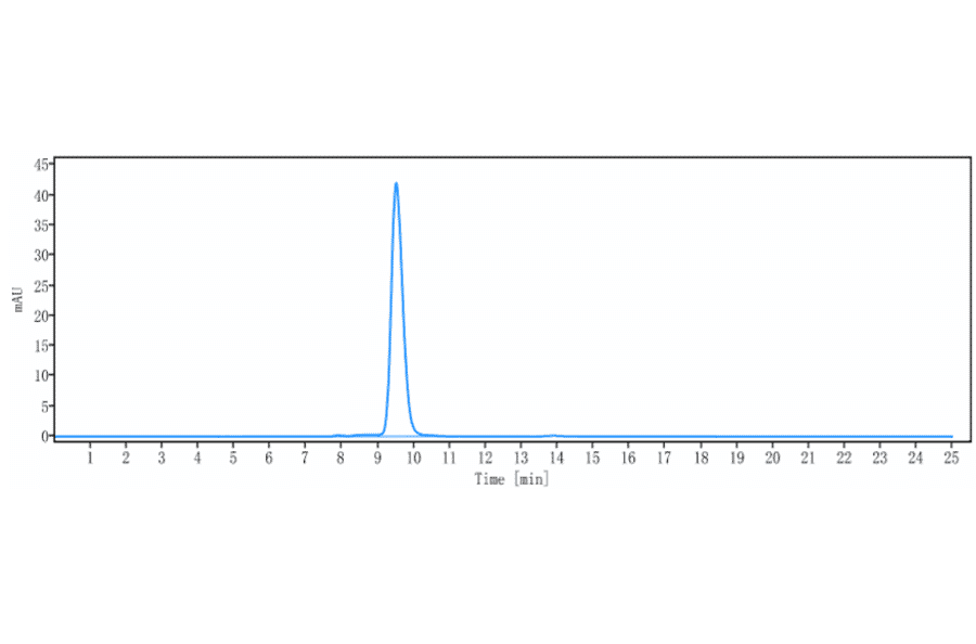 SEC-HPLC - Sabatolimab Biosimilar - Anti-TIM 3 Antibody - Low endotoxin, Azide free (A323715) - Antibodies.com