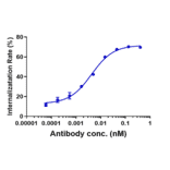 Function:Internalization - Sacituzumab Biosimilar - Anti-TROP2 Antibody - Low endotoxin, Azide free (A323718) - Antibodies.com