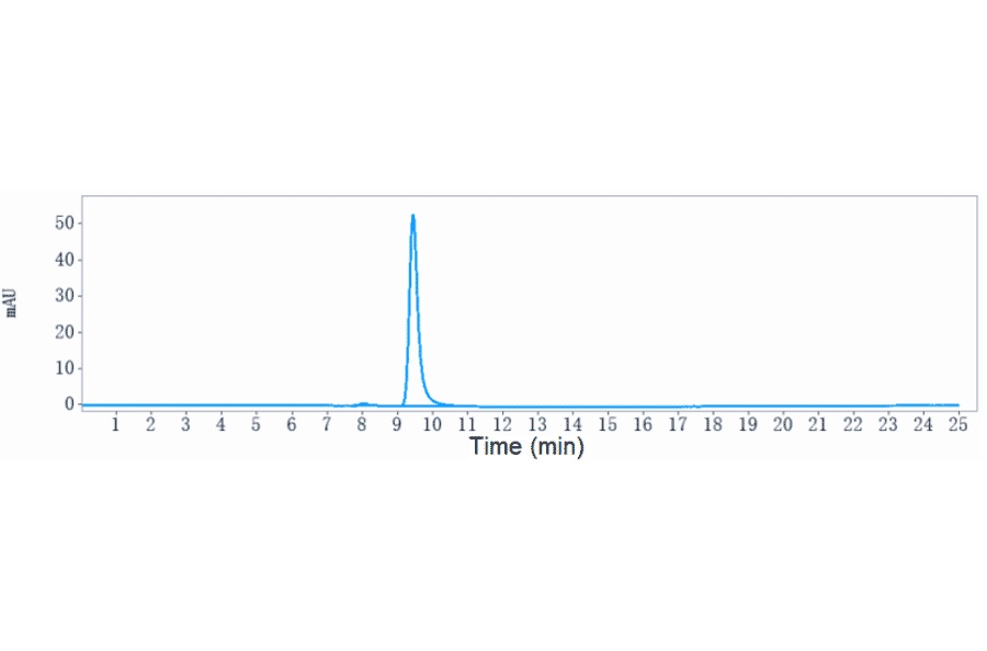 SEC-HPLC - Samrotamab Biosimilar - Anti-LRRC15 Antibody - Low endotoxin, Azide free (A323720) - Antibodies.com