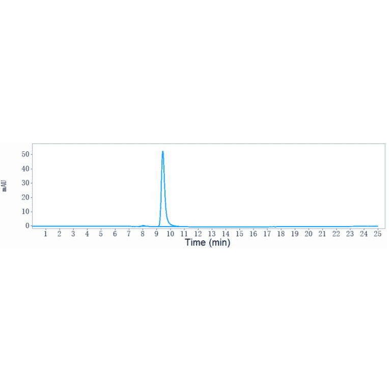 SEC-HPLC - Samrotamab Biosimilar - Anti-LRRC15 Antibody - Low endotoxin, Azide free (A323720) - Antibodies.com