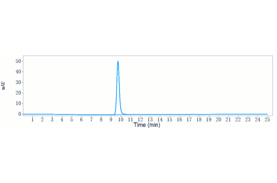 SEC-HPLC - Secukinumab Biosimilar - Anti-IL-17A Antibody - Low endotoxin, Azide free (A323724) - Antibodies.com