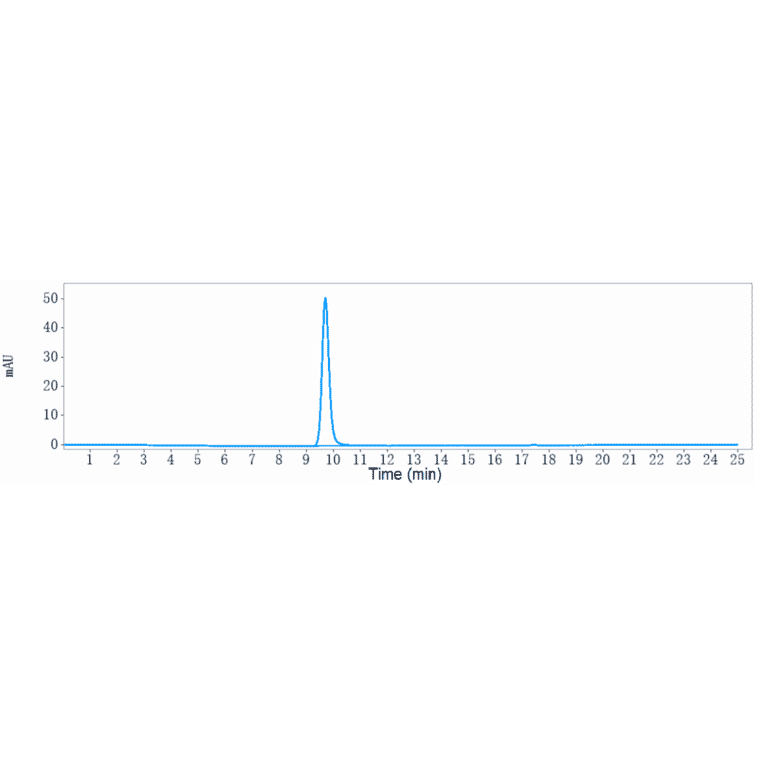 SEC-HPLC - Secukinumab Biosimilar - Anti-IL-17A Antibody - Low endotoxin, Azide free (A323724) - Antibodies.com