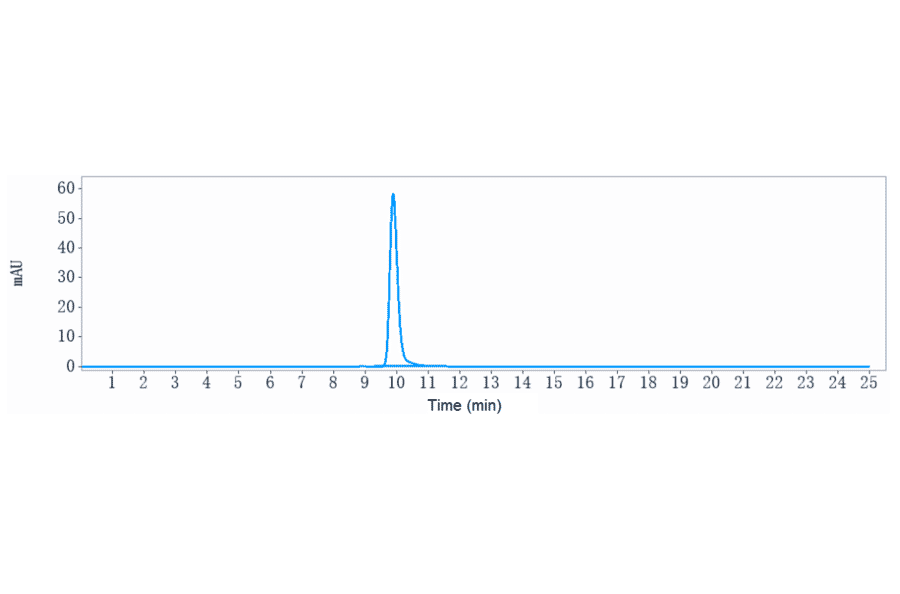 SEC-HPLC - Selicrelumab Biosimilar - Anti-CD40 Antibody - Low endotoxin, Azide free (A323725) - Antibodies.com
