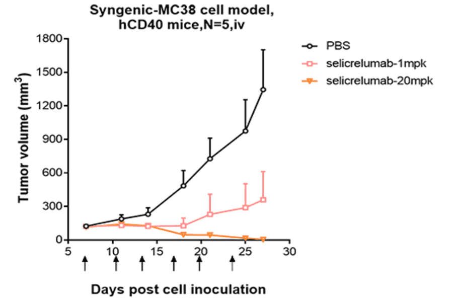 Animal Model - Selicrelumab Biosimilar - Anti-CD40 Antibody - Low endotoxin, Azide free (A323725) - Antibodies.com