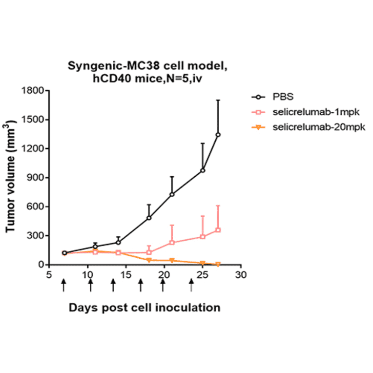 Animal Model - Selicrelumab Biosimilar - Anti-CD40 Antibody - Low endotoxin, Azide free (A323725) - Antibodies.com