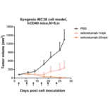Animal Model - Selicrelumab Biosimilar - Anti-CD40 Antibody - Low endotoxin, Azide free (A323725) - Antibodies.com
