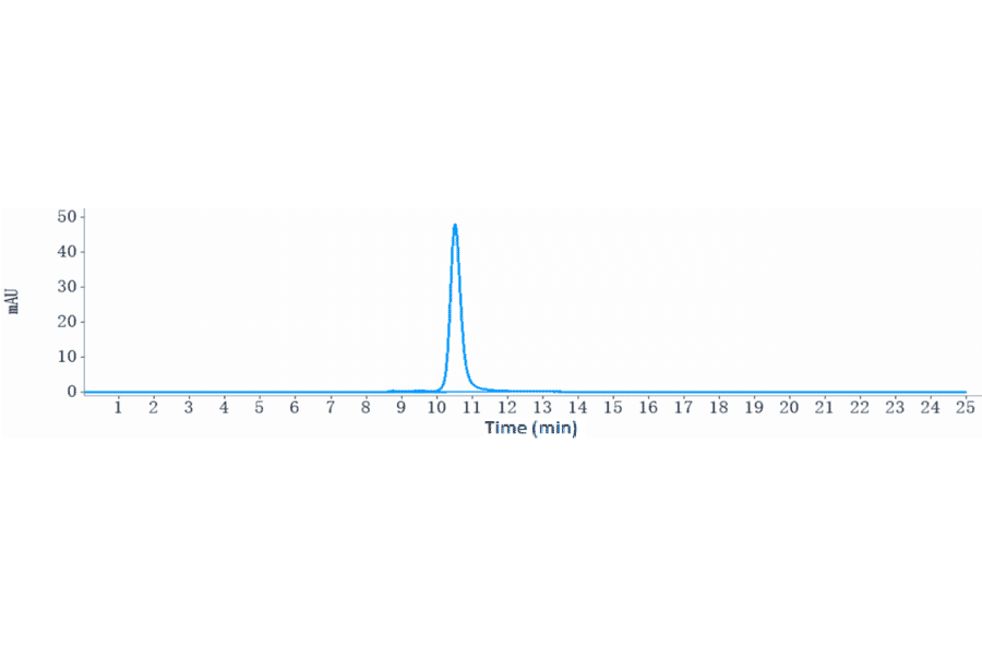 SEC-HPLC - Seribantumab Biosimilar - Anti-ErbB3/HER3 Antibody - Low endotoxin, Azide free (A323729) - Antibodies.com