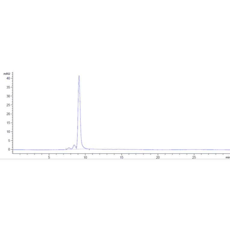 SEC-HPLC - Setrusumab Biosimilar - Anti-Sclerostin Antibody - Low endotoxin, Azide free (A323732) - Antibodies.com