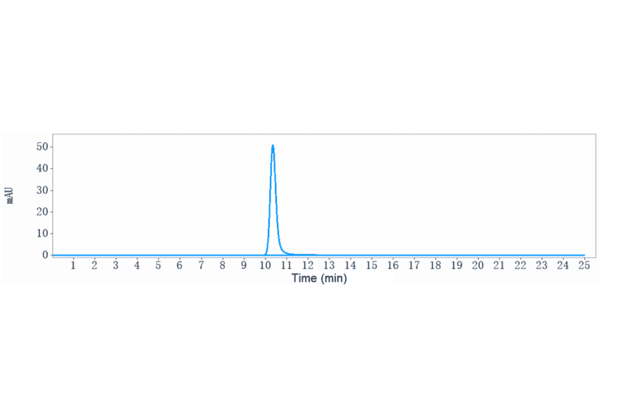 SEC-HPLC - Sibrotuzumab Biosimilar - Anti-Fibroblast Activation Protein alpha/FAP Antibody - Low endotoxin, Azide free (A323734) - Antibodies.com