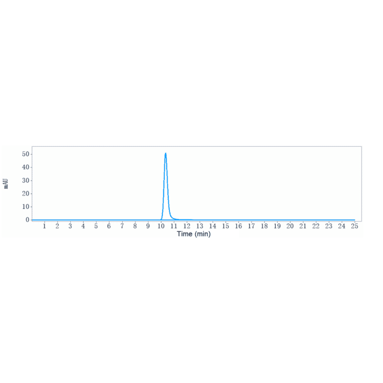 SEC-HPLC - Sibrotuzumab Biosimilar - Anti-Fibroblast Activation Protein alpha/FAP Antibody - Low endotoxin, Azide free (A323734) - Antibodies.com
