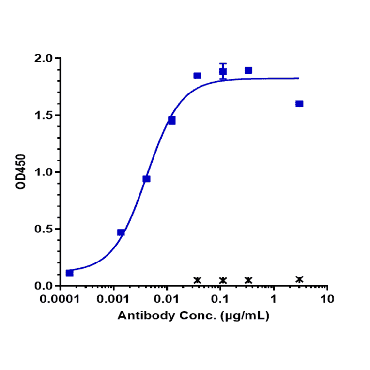 ELISA - Sibrotuzumab Biosimilar - Anti-Fibroblast Activation Protein alpha/FAP Antibody - Low endotoxin, Azide free (A323734) - Antibodies.com