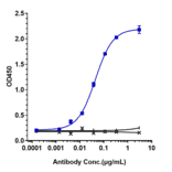 ELISA - Sifalimumab Biosimilar - Anti-Interferon alpha 1 Antibody - Low endotoxin, Azide free (A323735) - Antibodies.com